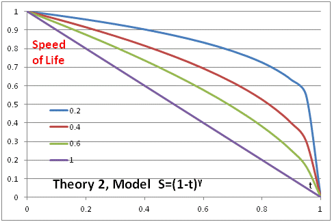 Speed_of_Life:_Theory_2A.gif