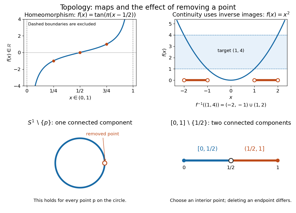 codex/topological-continuity-examples.png