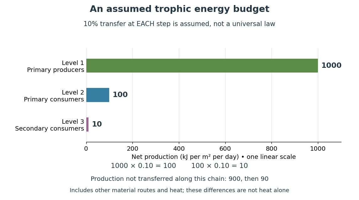 codex/trophic-energy-budget.png