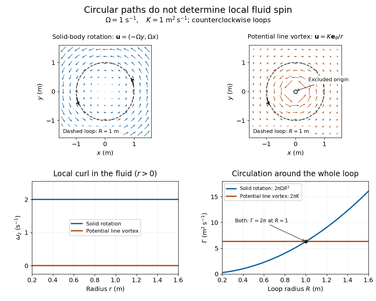 codex/vorticity-and-circulation-fields.png