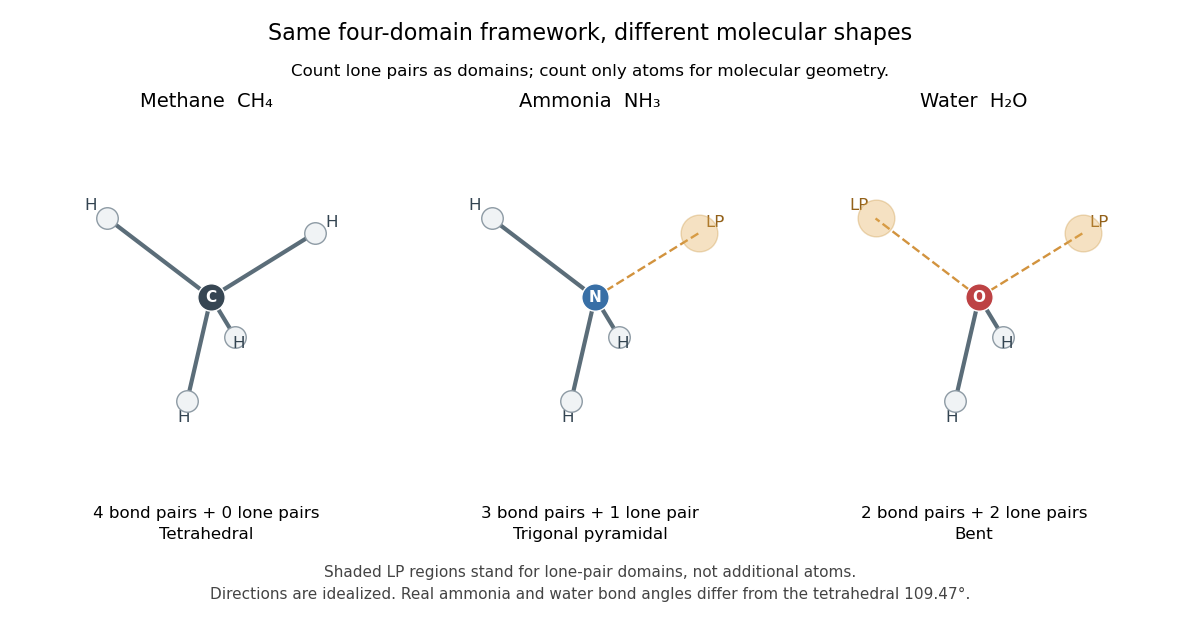 codex/vsepr-four-domain-shapes.png