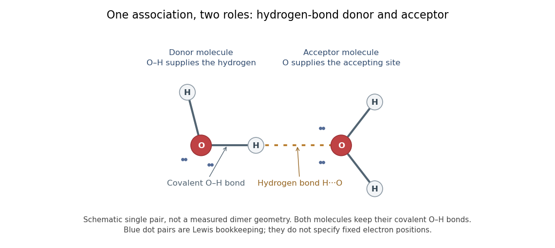codex/water-hydrogen-bond-roles.png